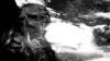wisdom.gif (822644 bytes)
